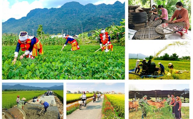 Chính phủ ban hành Nghị định 358/2025/NĐ-CP về quản lý, sử dụng vốn ngân sách nhà nước thực hiện chương trình mục tiêu quốc gia