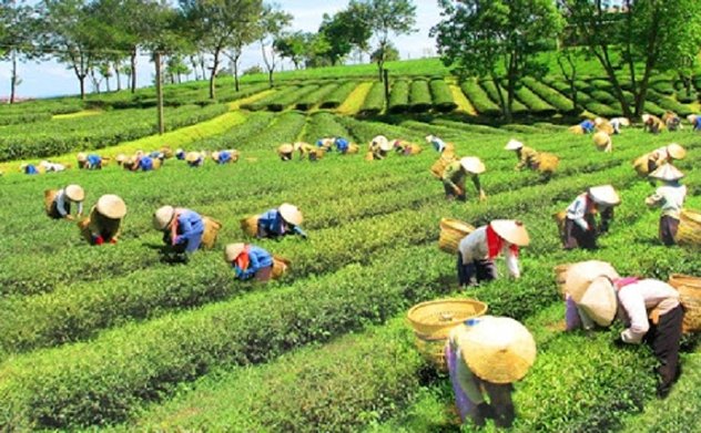 Thực hiện các giải pháp tháo gỡ khó khăn, thúc đẩy triển khai thực hiện 3 Chương trình mục tiêu quốc gia